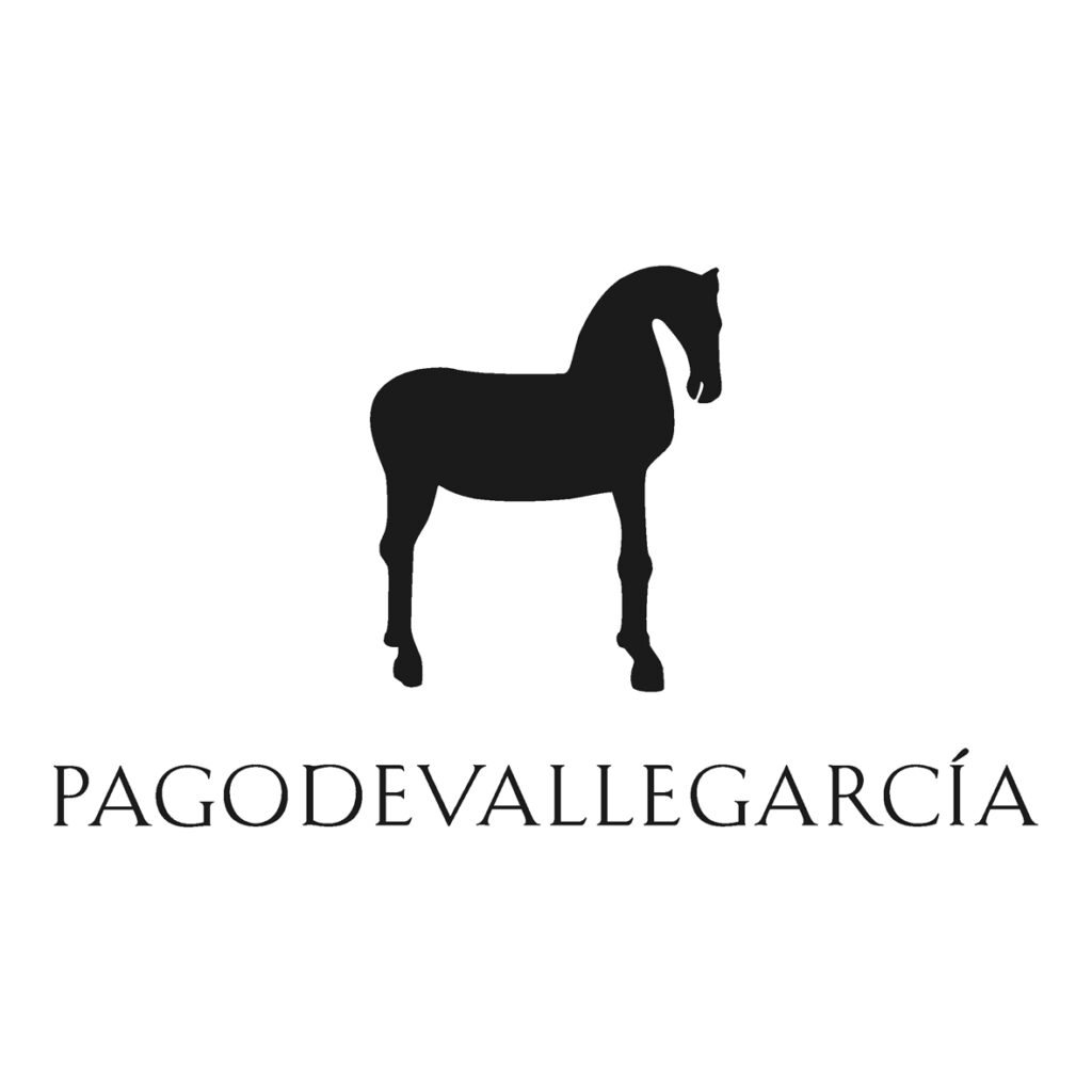 logo01 pago vallegarcia blanco sobre negro
